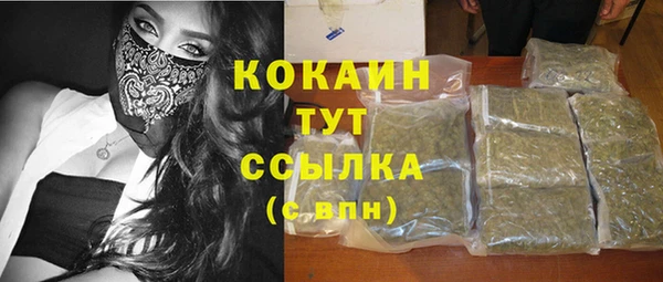 соль ск Алзамай